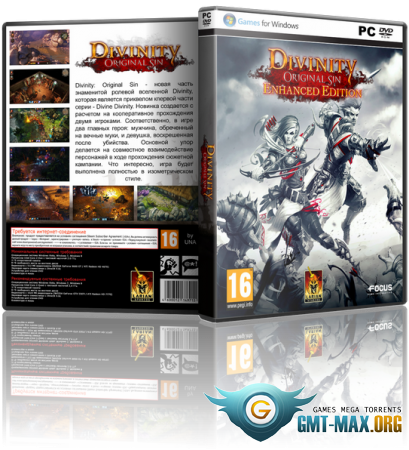 Divinity: Original Sin Enhanced Edition (2015/RUS/ENG/Лицензия)