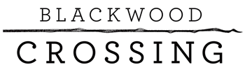 Blackwood Crossing (2017/ENG/Лицензия)